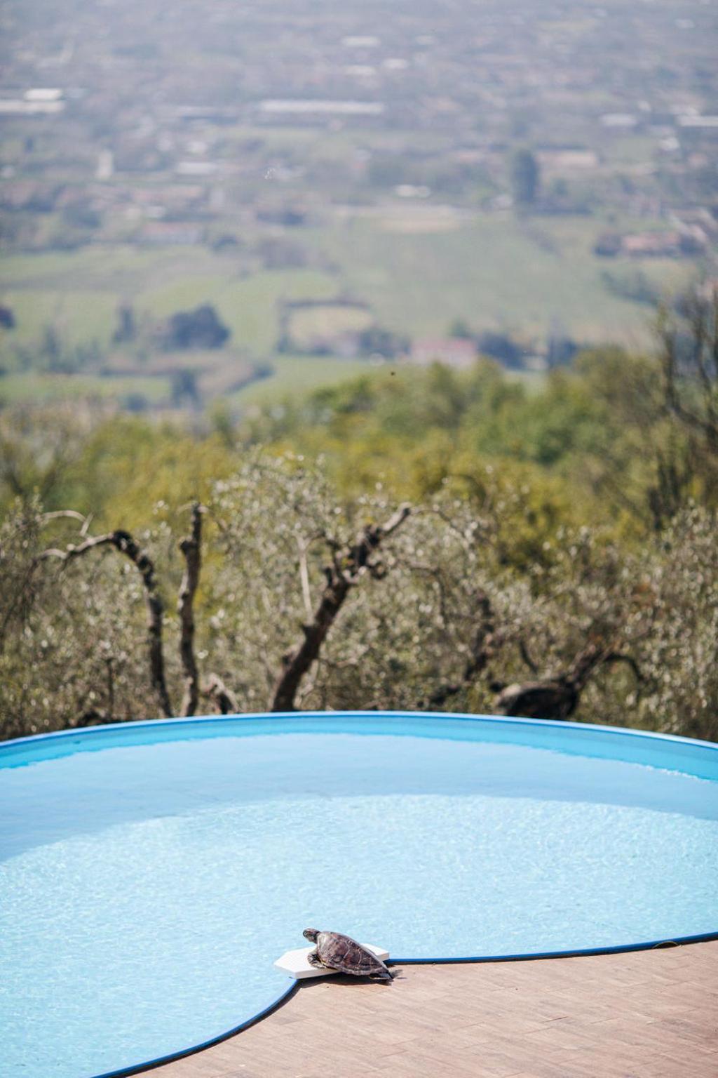 Villa Desiderio Tuscany Pistoia Ngoại thất bức ảnh